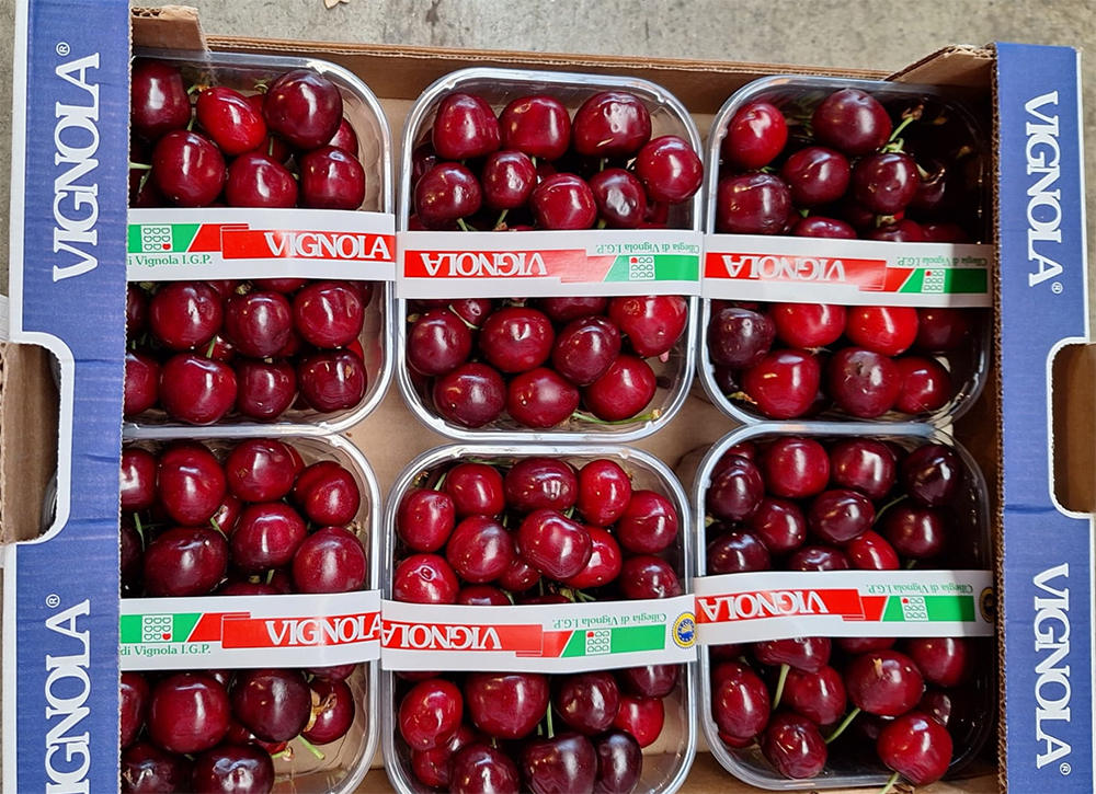Ciliegie cal. 30+ Origine Vignola prezzo 9-10 euro al chilo